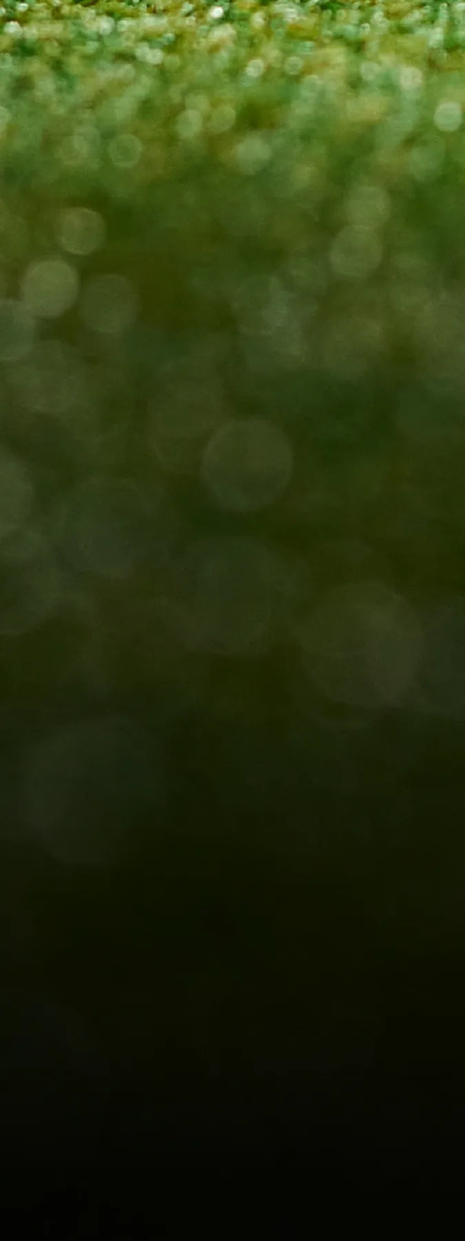 Quiet Volt green texture illustration