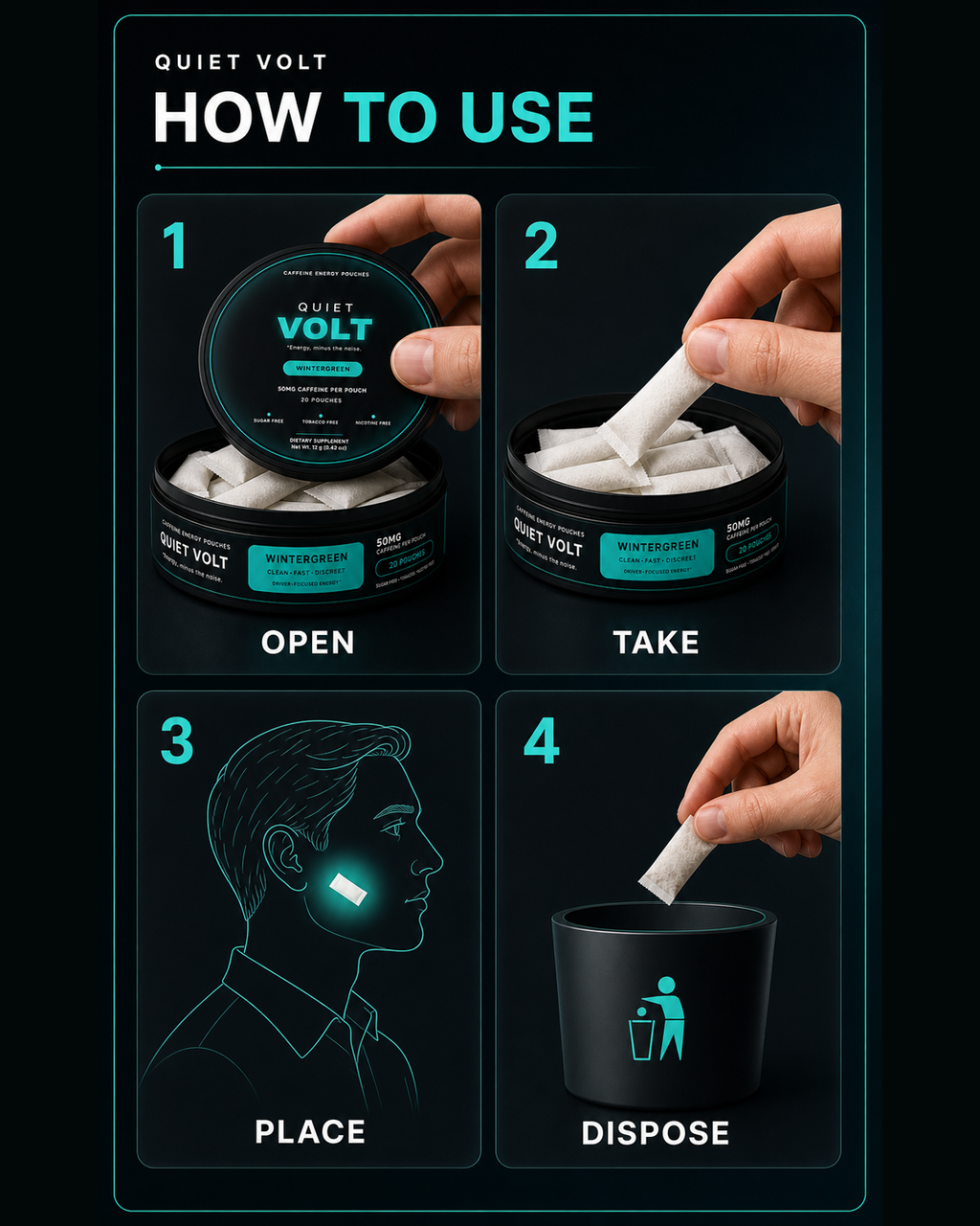 QUIET VOLT Wintergreen Caffeine Pouches