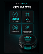 QUIET VOLT Wintergreen Caffeine Pouches