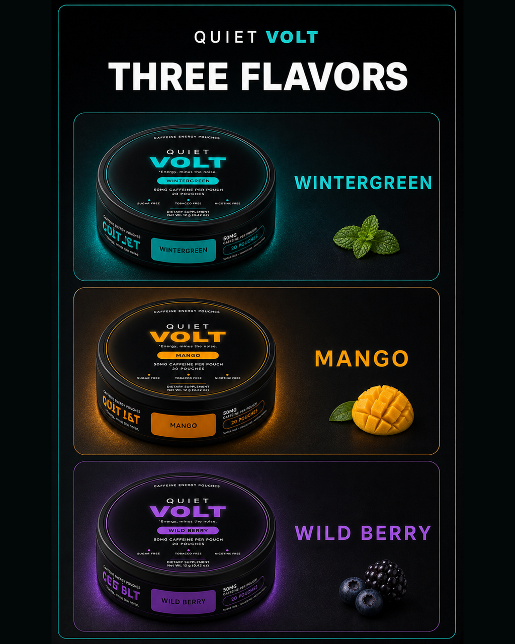 QUIET VOLT Three-Flavor Discovery 6-Pack